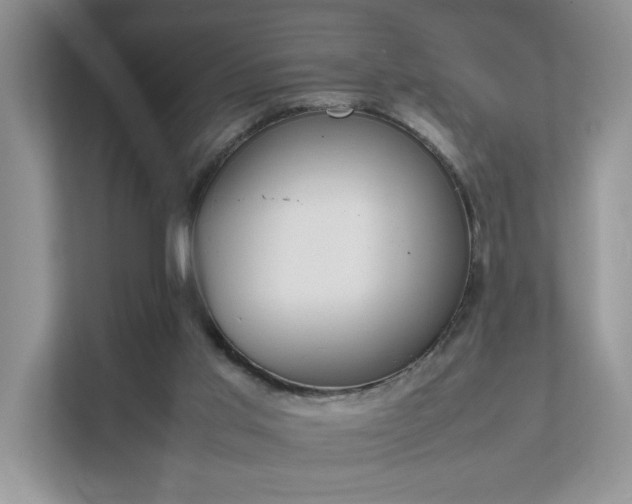 X0000111490013200907211019