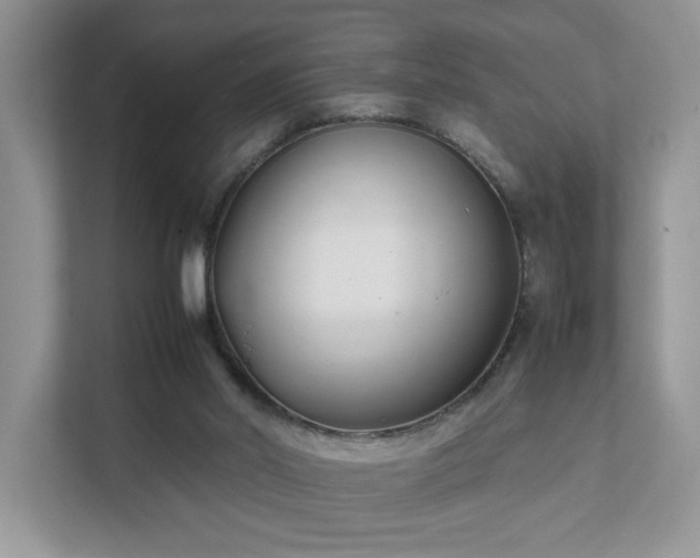 X0000111490014200907211019