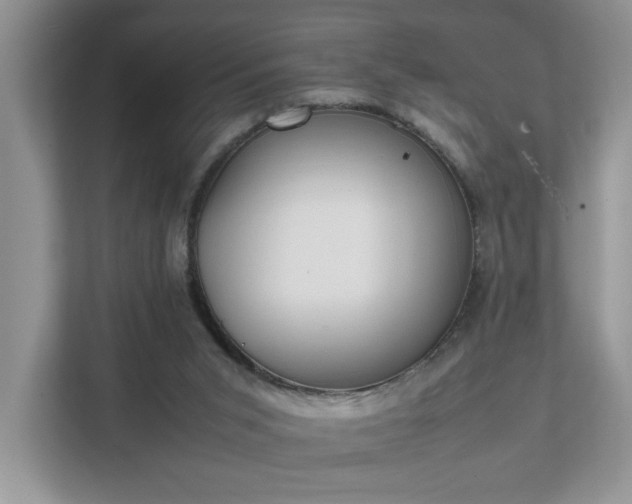 X0000111490015200907211019