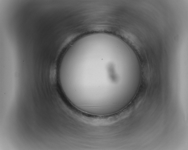 X0000111490016200907211019