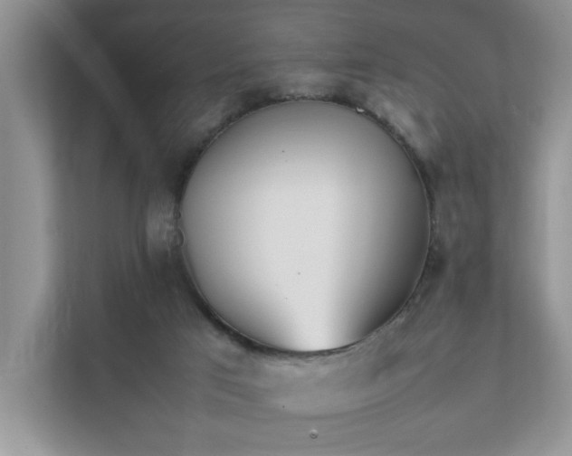 X0000111490017200907211019