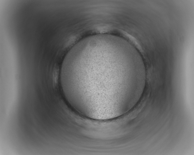 X0000111490018200907211019