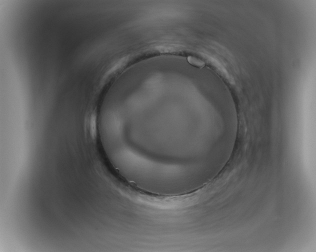 X0000111490019200907211019