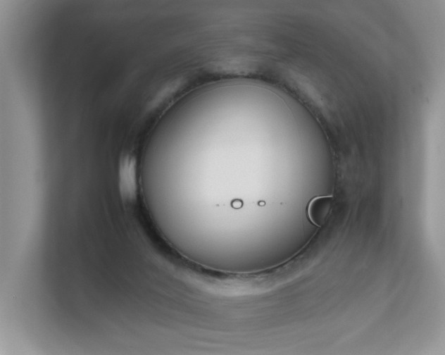 X0000111490020200907211019