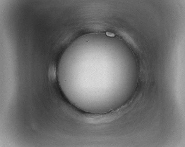 X0000111490021200907211019