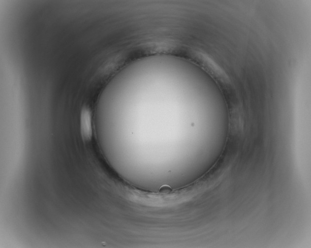 X0000111490022200907211019