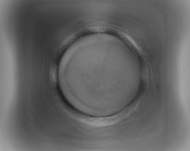 X0000111490023200907211019