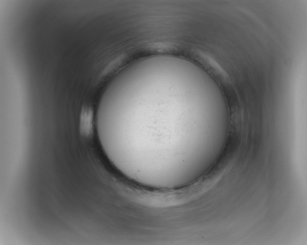 X0000111490024200907211019