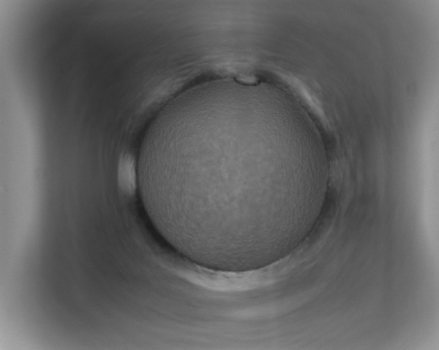 X0000111490027200907211019