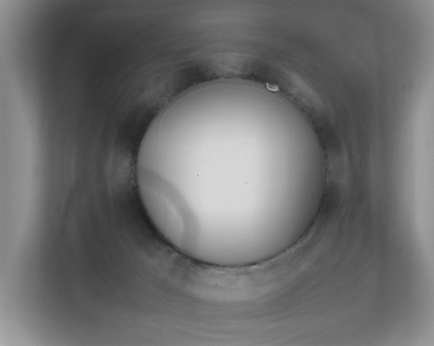 X0000111490029200907211019