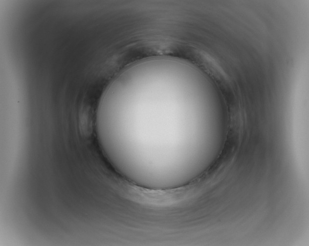 X0000111490030200907211019