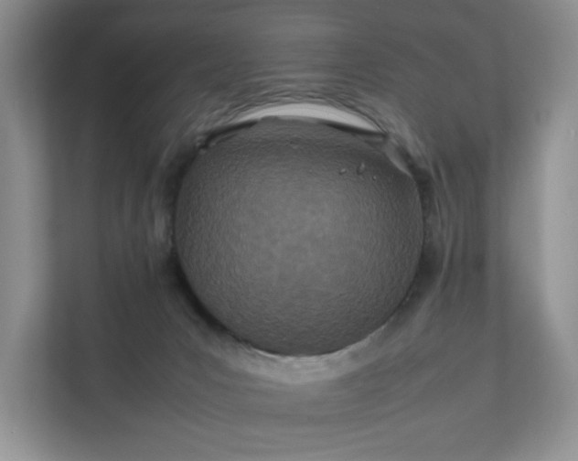 X0000111490031200907211019