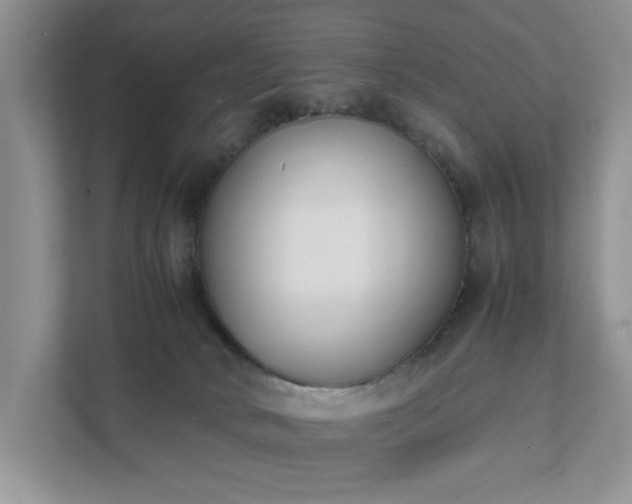 X0000111490034200907211019