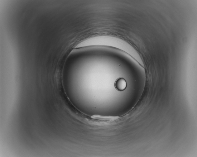 X0000111490036200907211019