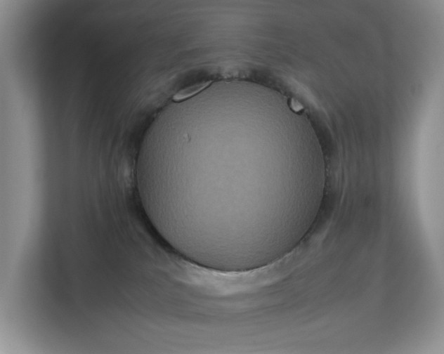 X0000111490039200907211019