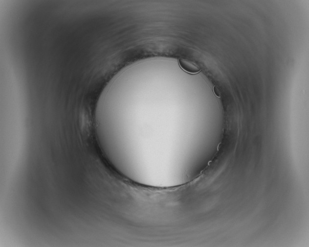 X0000111490040200907211019