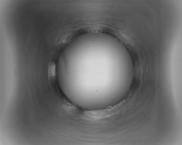 X0000111490041200907211019