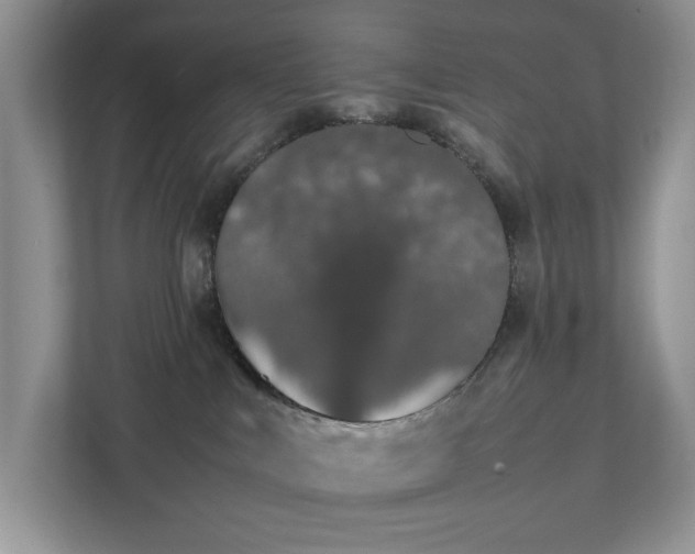 X0000111490043200907211019