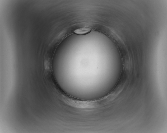 X0000111490044200907211019