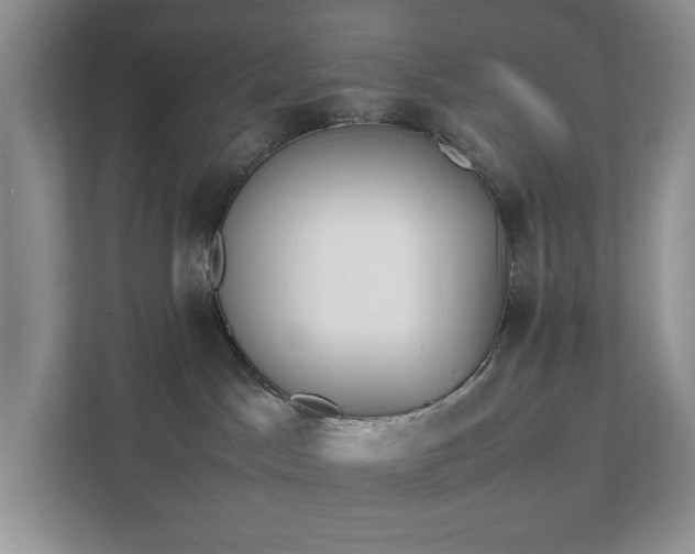 X0000111490045200907211019