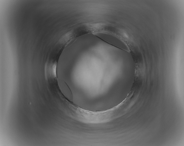 X0000111490047200907211019