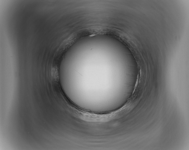 X0000111490048200907211019