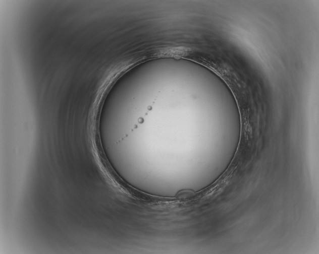 X0000111490049200907211018