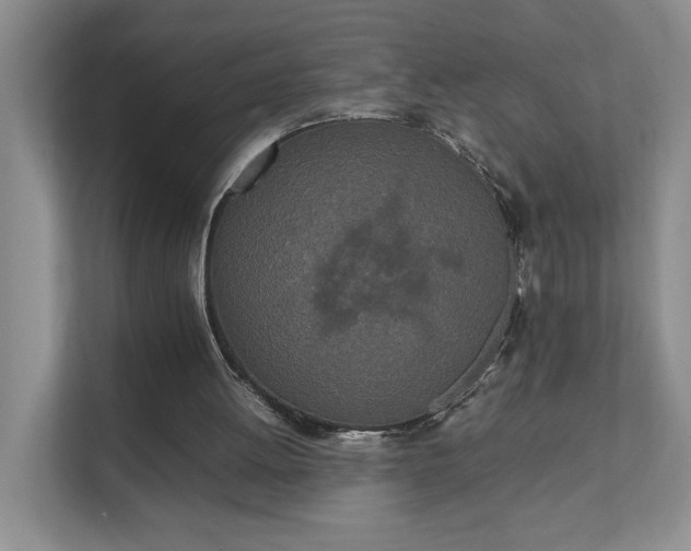 X0000111490052200907211018