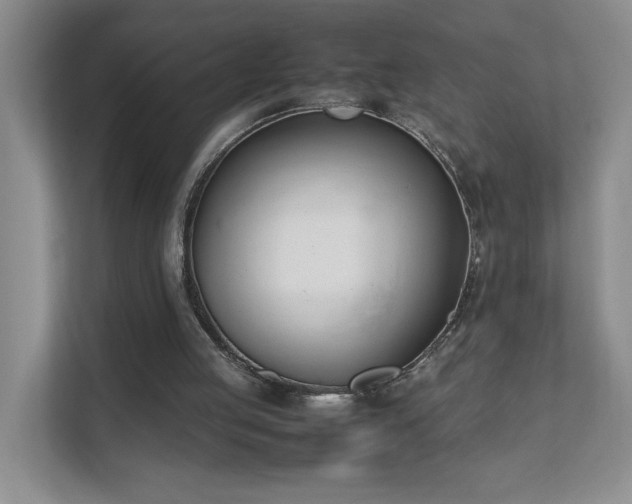 X0000111490053200907211018