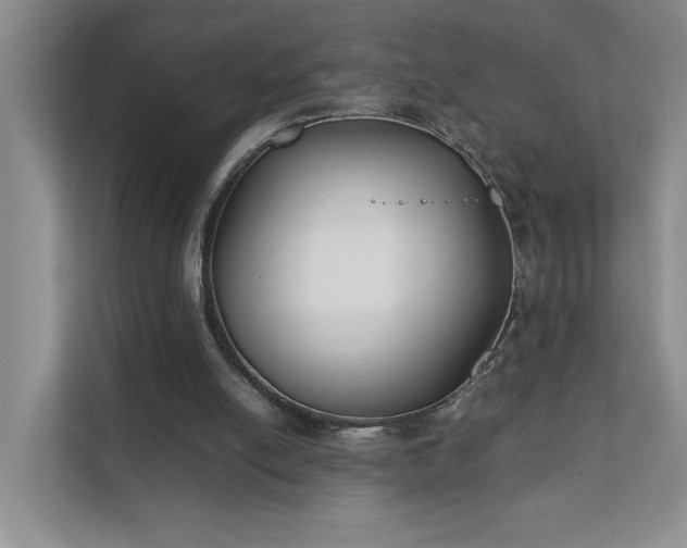 X0000111490054200907211018