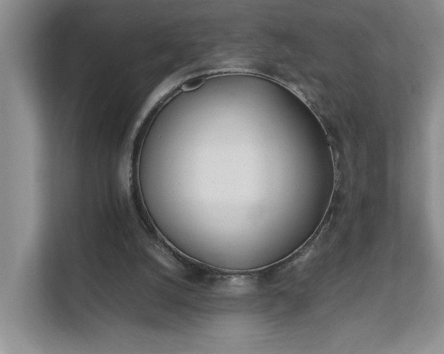 X0000111490056200907211018