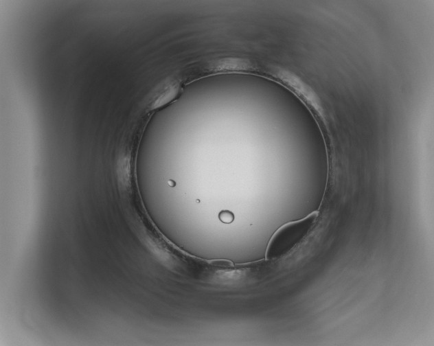 X0000111490057200907211018