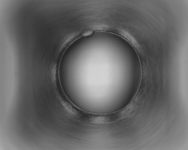 X0000111490058200907211018