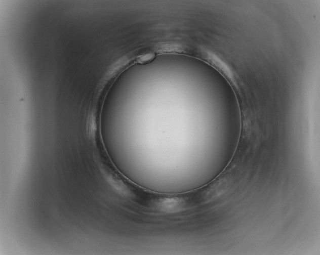 X0000111490059200907211018