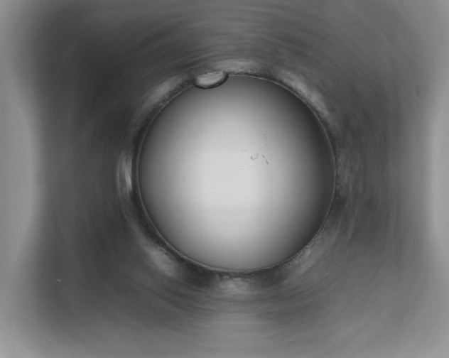 X0000111490062200907211018