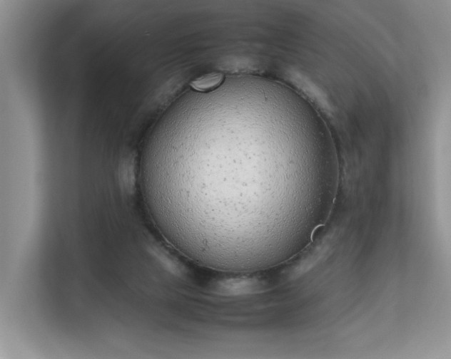 X0000111490065200907211018