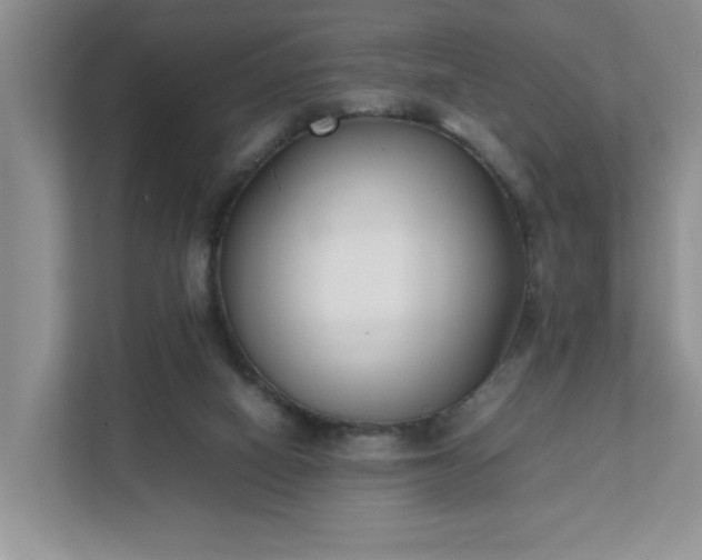 X0000111490066200907211018