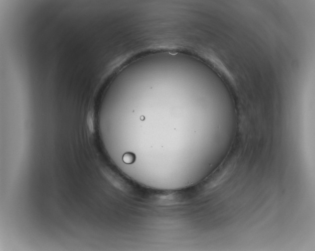 X0000111490068200907211018