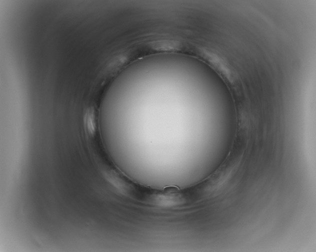 X0000111490069200907211018