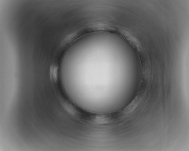 X0000111490070200907211018