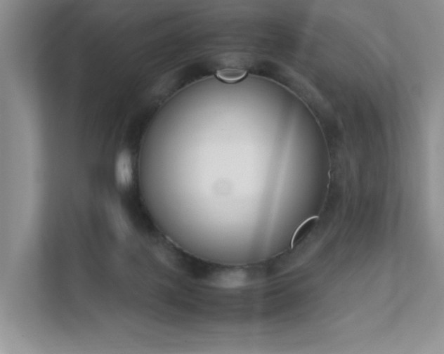 X0000111490075200907211018