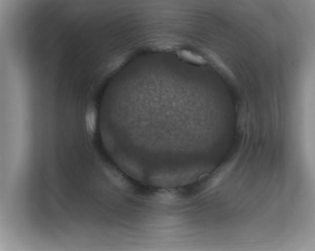 X0000111490076200907211018