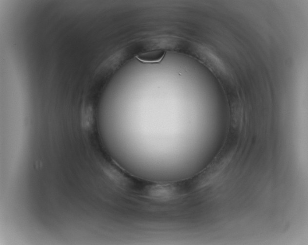 X0000111490077200907211018