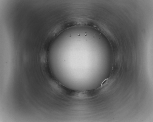 X0000111490078200907211018