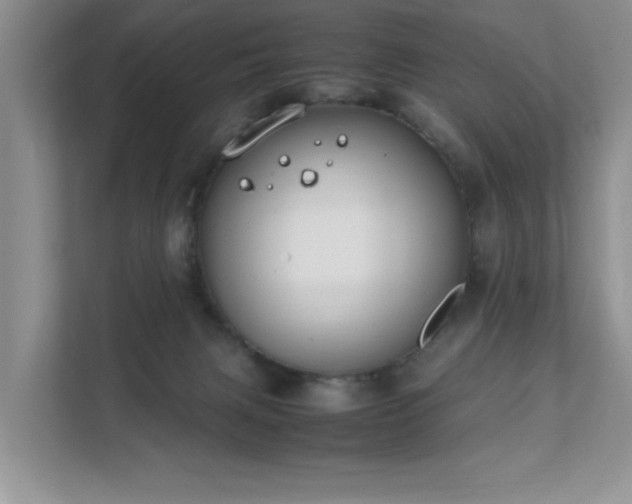 X0000111490079200907211018