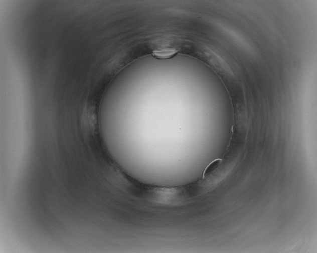 X0000111490085200907211018