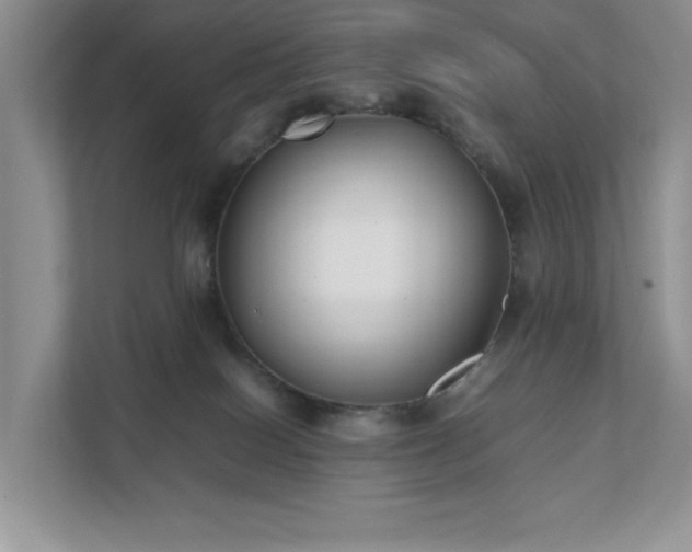 X0000111490086200907211018