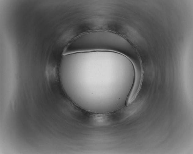 X0000111490088200907211018