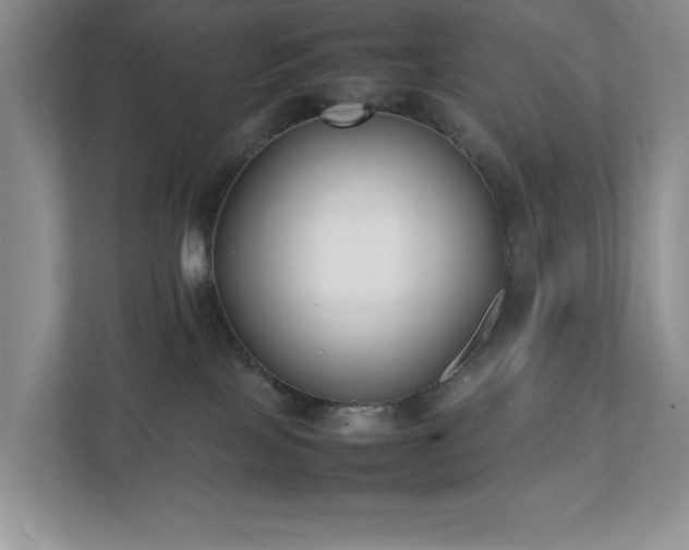 X0000111490089200907211018