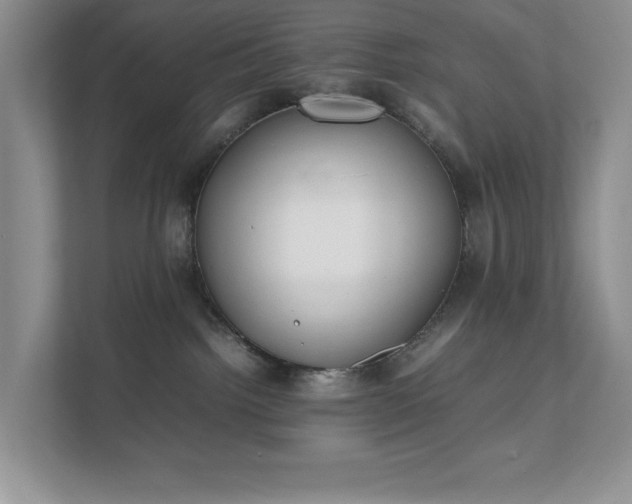 X0000111490092200907211018